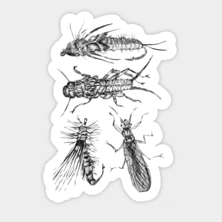 Plecoptera Fly Fishing Sticker